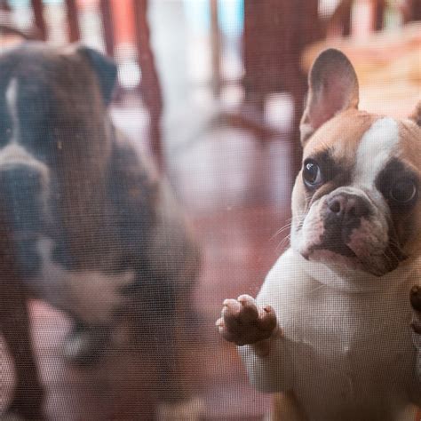 small    huge positive brand