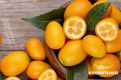 Кумкват: що таке кумкват та як його їсти