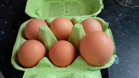 Compare Your Eggs to Commercial Eggs | Eggs | Chickens | Guide | Omlet UK