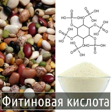 Фитиновая кислота: в каких продуктах содержится / Будьте здоровы