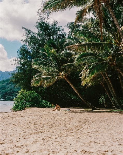 Candid+Beach+Girl Photos, Download The BEST Free Candid+Beach+Girl