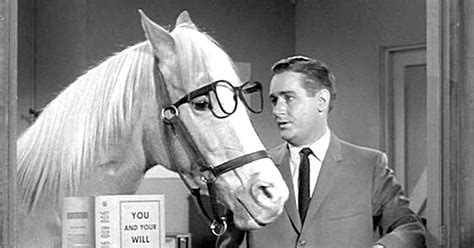 mister ed theme song  lyrics