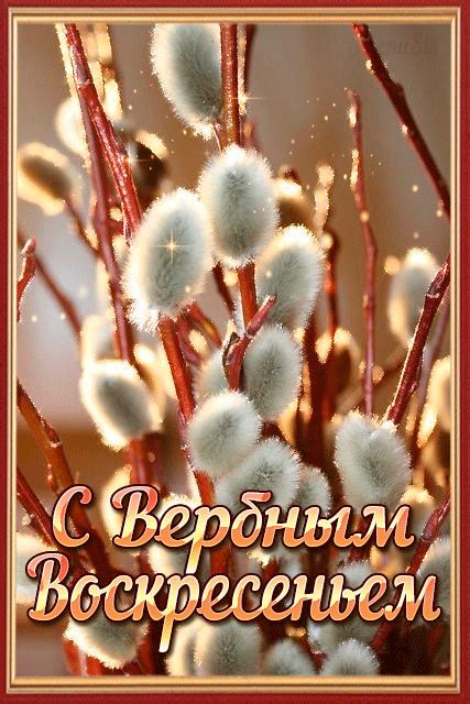 Марина Орлова | ВКонтакте