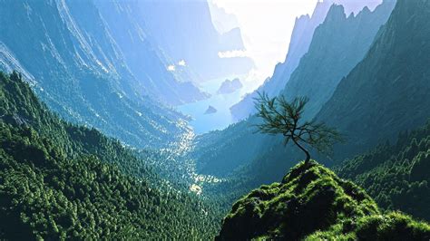 Live Nature Wallpapers - Top Free Live Nature Backgrounds - WallpaperAccess