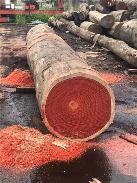 understanding   types  wood   furniture