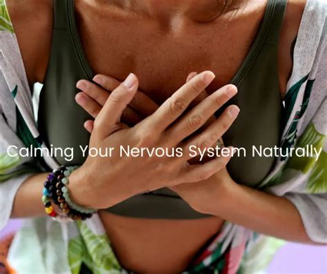 Chiropractic Care For Sympathetic Dominance: Restore Balance, Stress ...