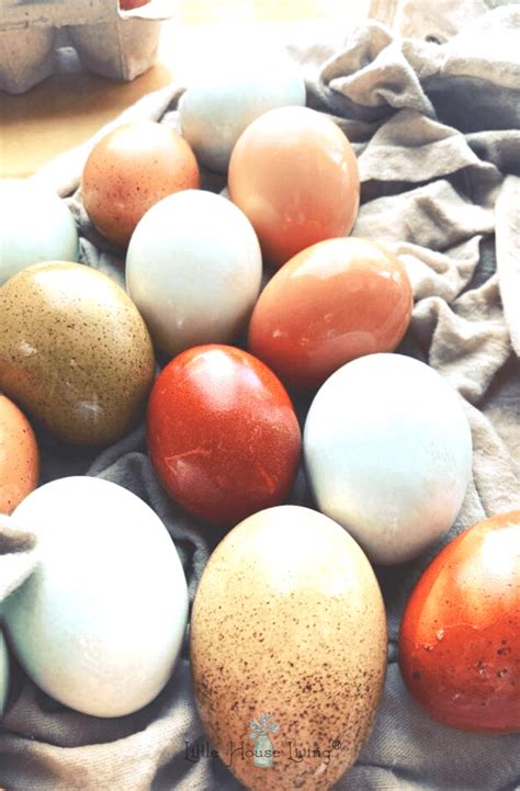 10 Simple Hard Boiled Egg Recipes - Little House Living