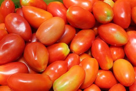 Growing opportunity: How supporting Guatemala's farmers keeps them