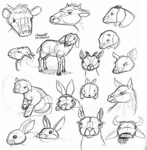 Farm Animal Sketches at PaintingValley.com | Explore collection of Farm Animal Sketches