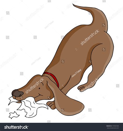how to stop my dog from eating paper
