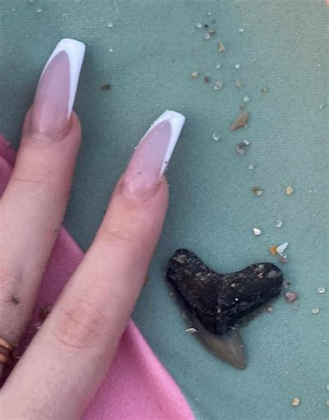 Sharks tooth necklace, : r/jewelrymaking