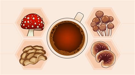 6 Tips to Make Better-Tasting Mushroom Coffee – CAFELY