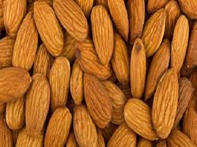 Organic Bitter Almonds – bklagricgroups.co.za