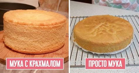 Крахмал в кулинарии