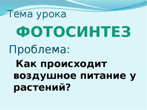 Презентация к уроку. "Фотосинтез". Биология 6 класс