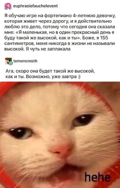 Ну да ну да пошел я нахер | ВКонтакте