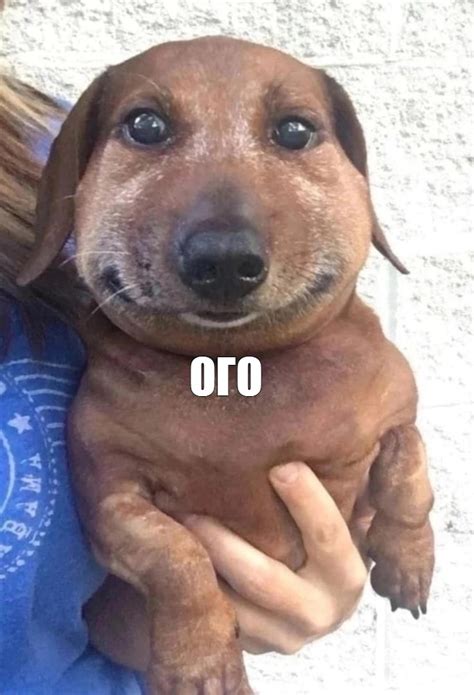 Мем: "ОГО" - Все шаблоны - Meme-arsenal.com