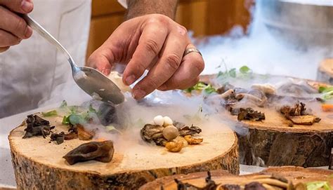 Culinary Travel Adventures