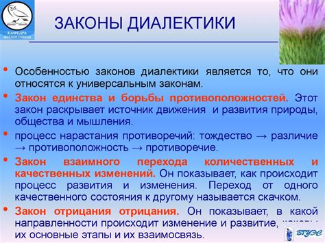 Диалектика и метафизика. (Лекция 9) - презентация онлайн