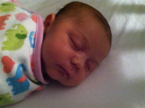 Brooklyn Baby | The Lavender Family