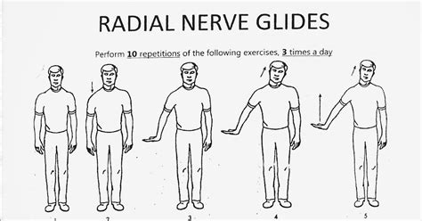 rasa yoga cafe...: Radial Nerve Glide Exercise.