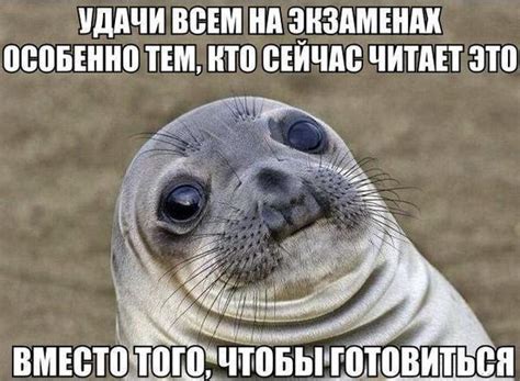 Демотиватор