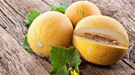 Para Que Serve O Melão - Melão: Para que serve, como usar, valor nutricional, benefícios ...
