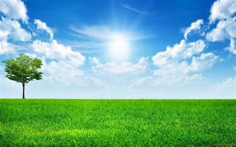 Sunny Sky Background Royalty