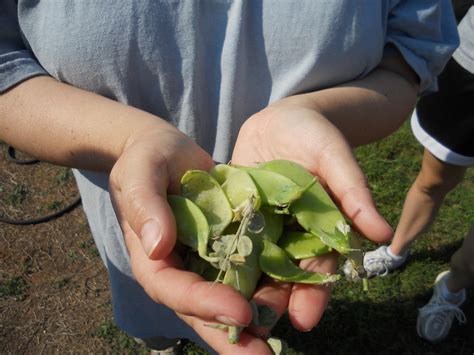 Residents are checking the latest Forsyth qpublic data today 17