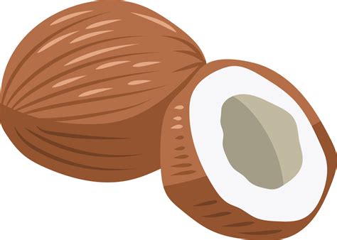 Coconut png graphic clipart design 19613678 PNG