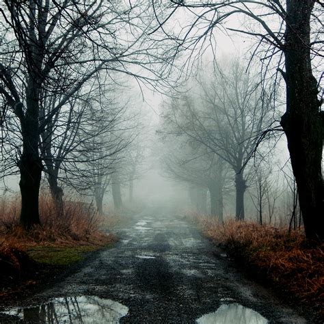 Silent Hill by Papierowemaki on DeviantArt