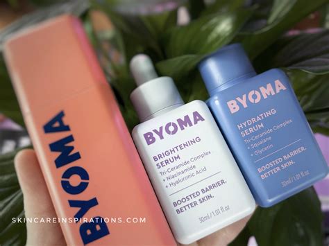 The Rise And Fall Of Byoma's Fortunes
