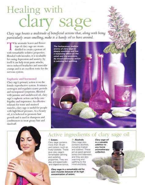 Finding Clarity and Success with a Seasoned Sage ConsultantAdvisor 1