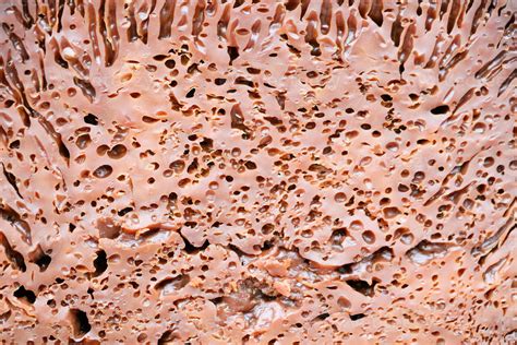 Baba neagra - traditional sweet pie of Moldovan cuisine at the