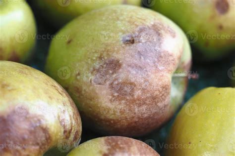 Brown spots on green apples collected in a basket 71043531 Stock Photo