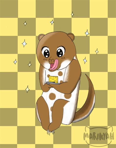 cuscus animal 11