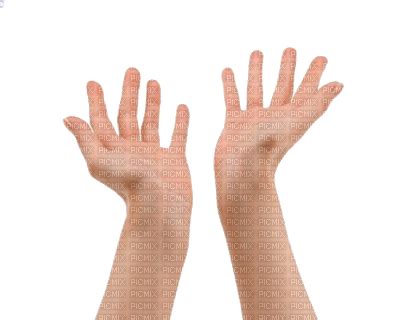 руки - Free PNG - PicMix