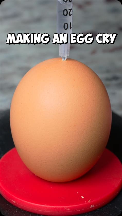 Noah Klein | How do you cook your steak 🥩 #wagyu #chocolate #