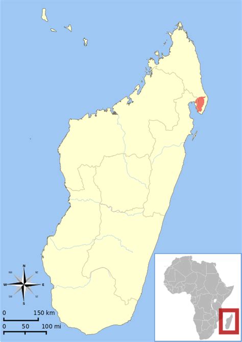 Avahi mooreorum – Wikipedia