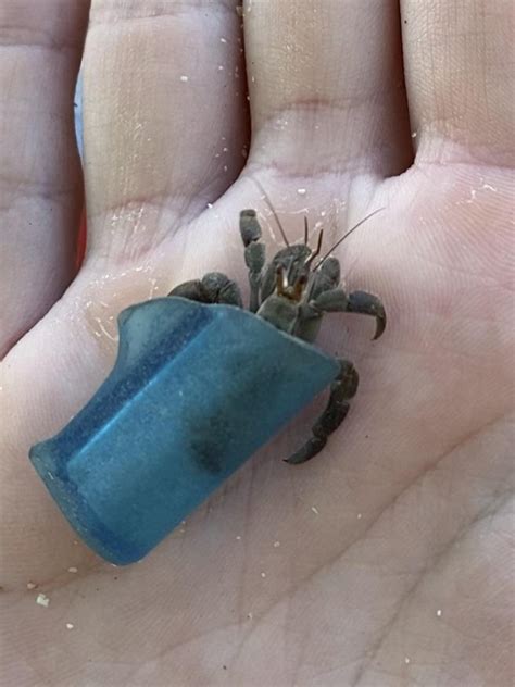 17 People Who Found Something Mysterious Right Under Their Feet ...