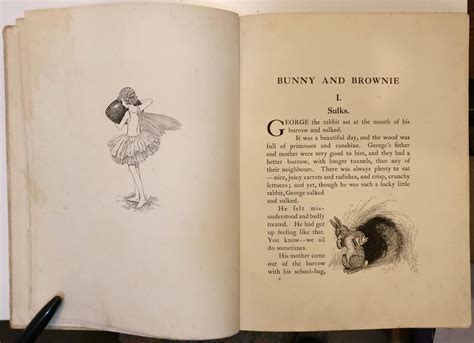 Bunny & Brownie: the Adventures of George & Wiggle by Ida Rentoul