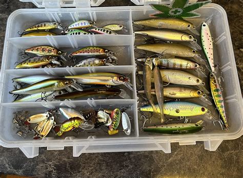 Straight Bait Porn