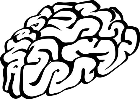 svg thought anatomy biology brain  svg image icon svg silh