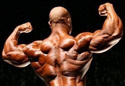 bodybuilder meaning  urdu  urdu dictionary