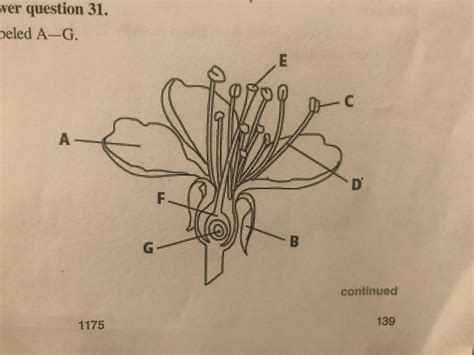 a labeled flower diagram 1