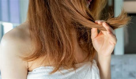 textured hair  comprehensive guide   hair types