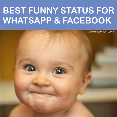 100 Funny Crazy Status And Captions In English – VJTUMA