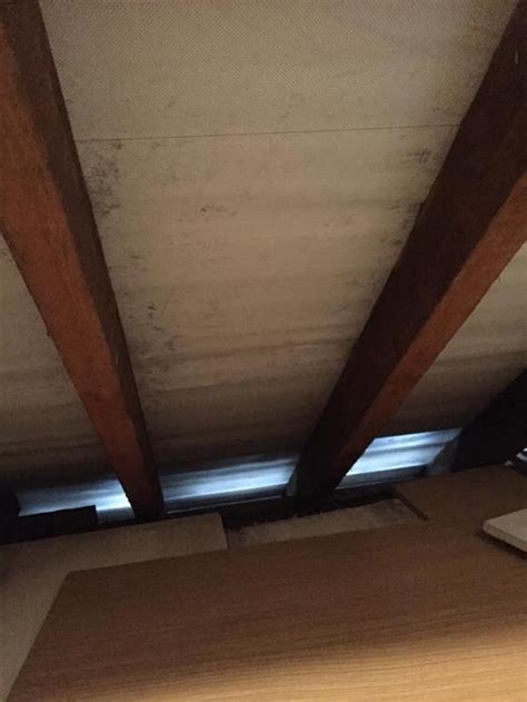 gap  roof eaves  fascias    roofing tiling