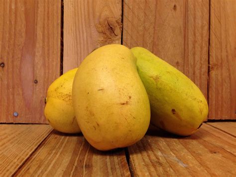 Mango - Ataulfo Yellow MEXICO (CASE/Approx 16CT) - Ottawa Organics and