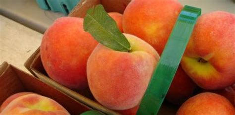 basics  organic gardening  todays homeowner